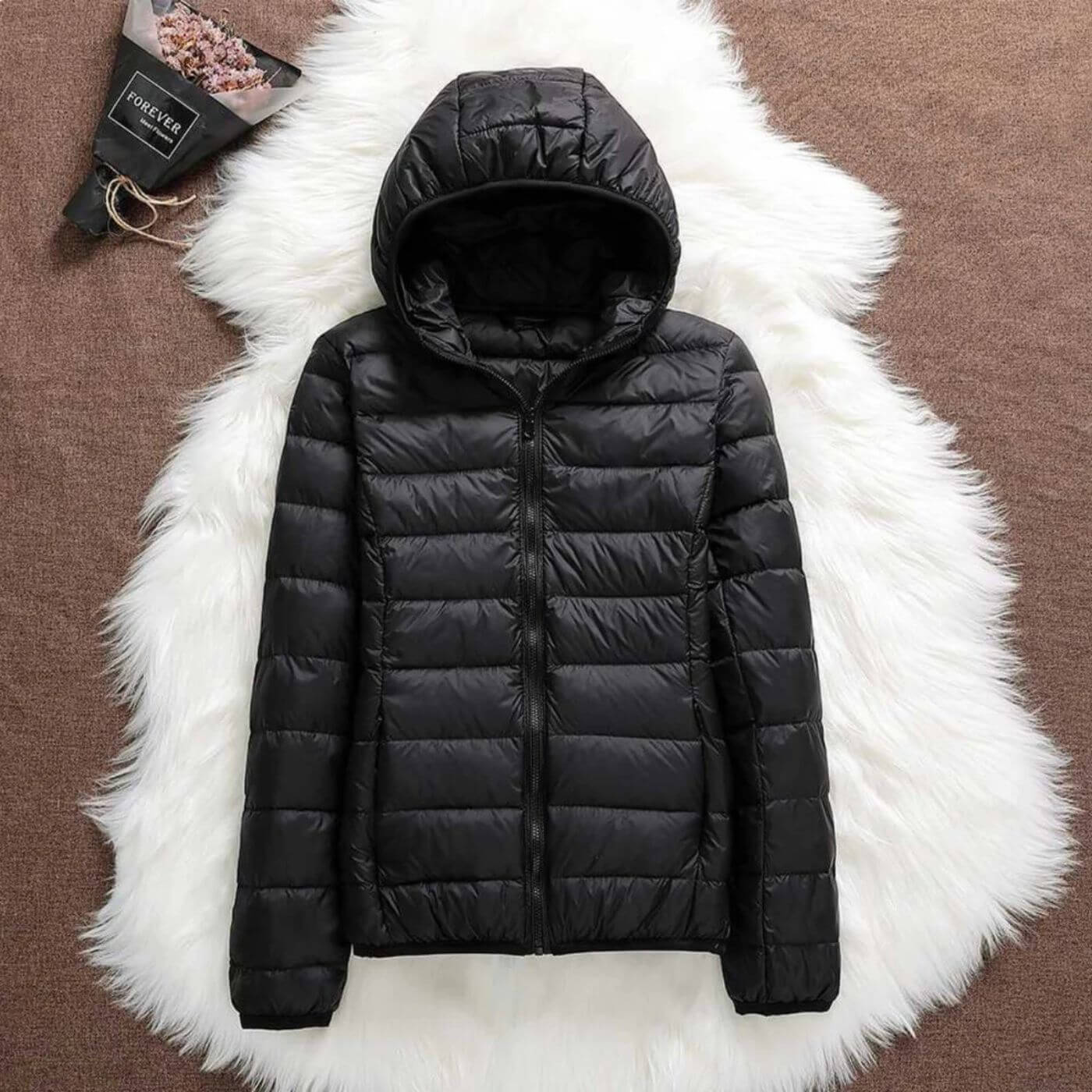 Lightweight Hooded Puffer Jacket with Zip Closure