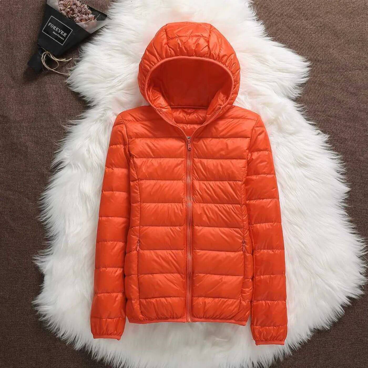 Lightweight Hooded Puffer Jacket with Zip Closure