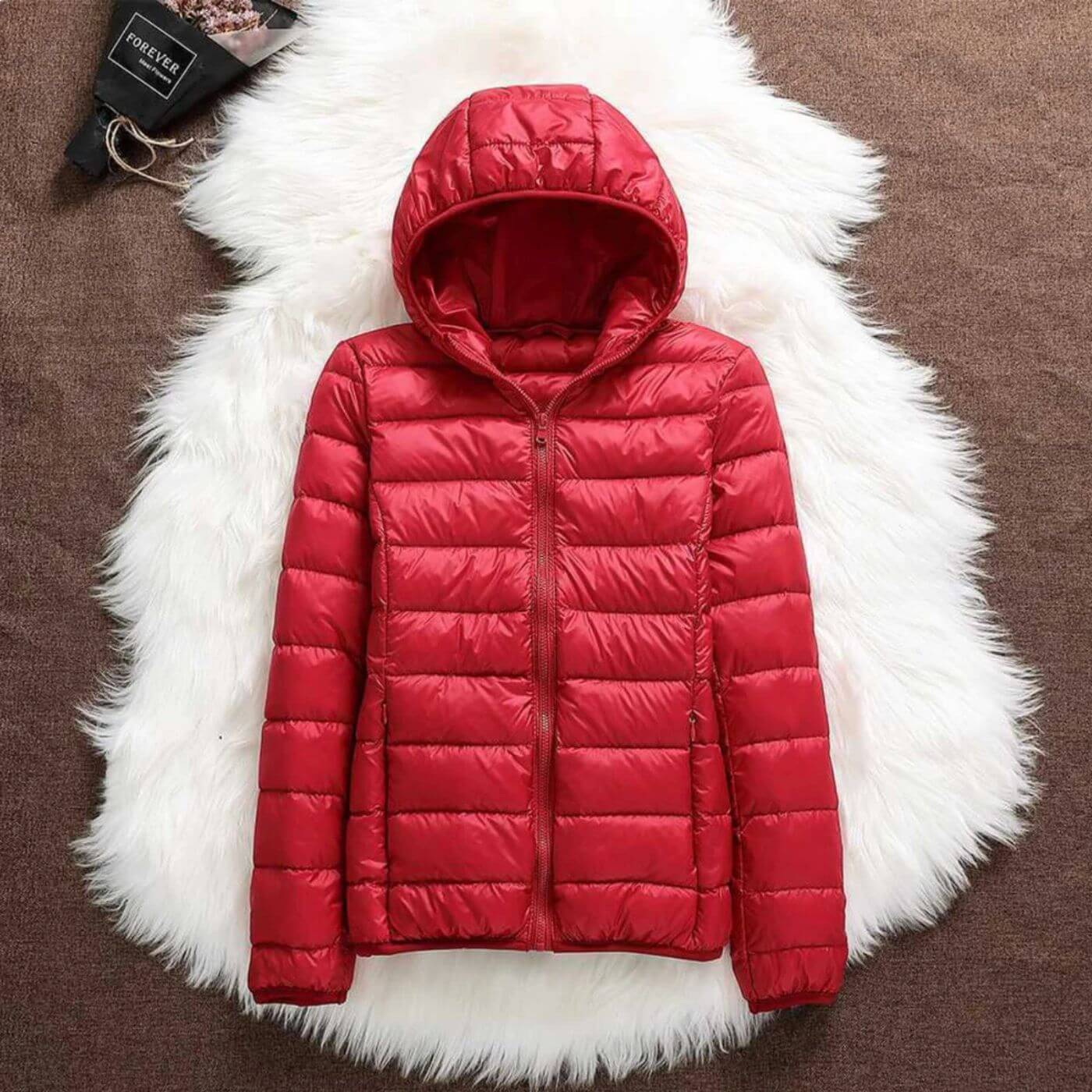 Lightweight Hooded Puffer Jacket with Zip Closure