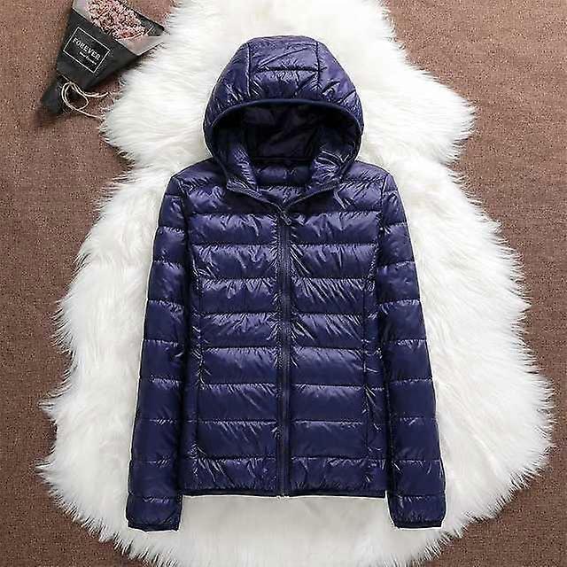 Lightweight Hooded Puffer Jacket with Zip Closure