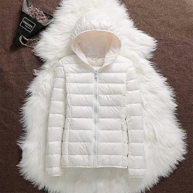 Lightweight Hooded Puffer Jacket with Zip Closure