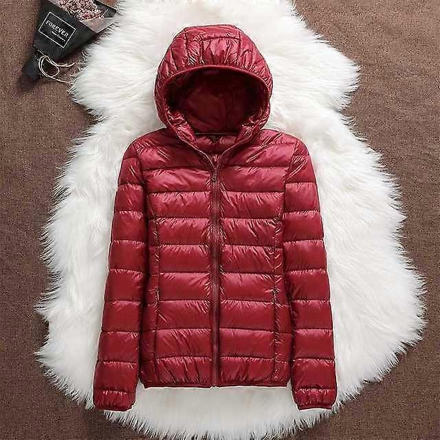 Lightweight Hooded Puffer Jacket with Zip Closure