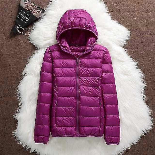 Lightweight Hooded Puffer Jacket with Zip Closure